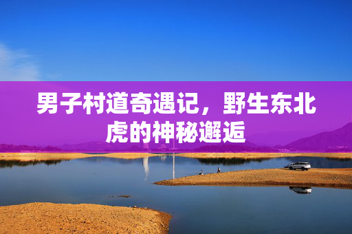 男子村道奇遇记，野生东北虎的神秘邂逅