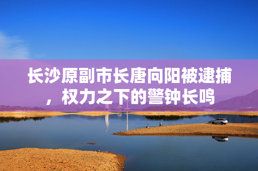 长沙原副市长唐向阳被逮捕，权力之下的警钟长鸣