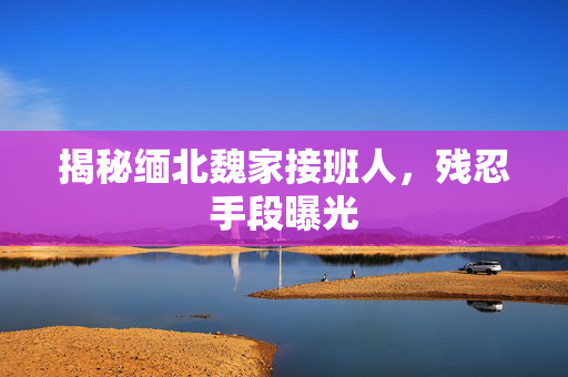 揭秘缅北魏家接班人，残忍手段曝光