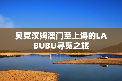 贝克汉姆澳门至上海的LABUBU寻觅之旅