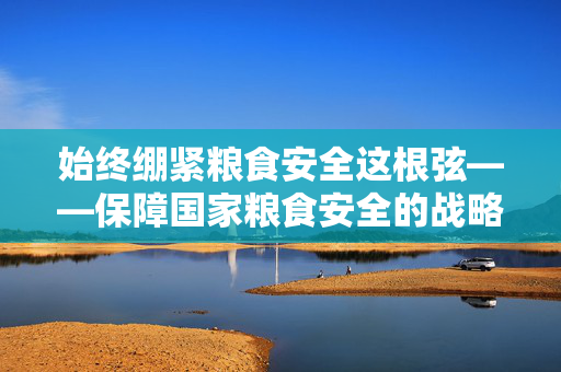 始终绷紧粮食安全这根弦——保障国家粮食安全的战略思考