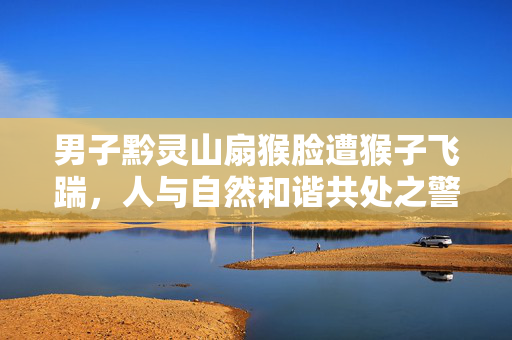 男子黔灵山扇猴脸遭猴子飞踹，人与自然和谐共处之警醒
