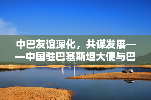 中巴友谊深化，共谋发展——中国驻巴基斯坦大使与巴总理会面纪实