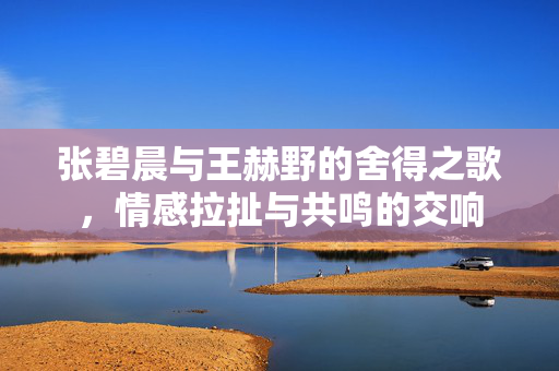 张碧晨与王赫野的舍得之歌，情感拉扯与共鸣的交响