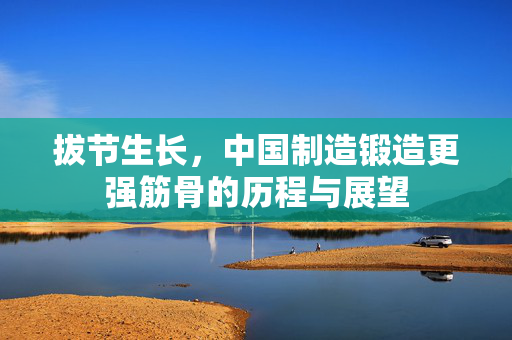 拔节生长，中国制造锻造更强筋骨的历程与展望