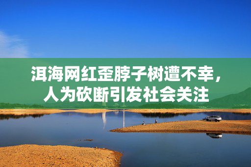 洱海网红歪脖子树遭不幸，人为砍断引发社会关注