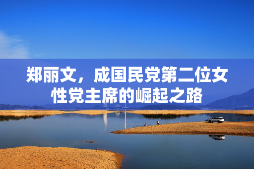 郑丽文，成国民党第二位女性党主席的崛起之路