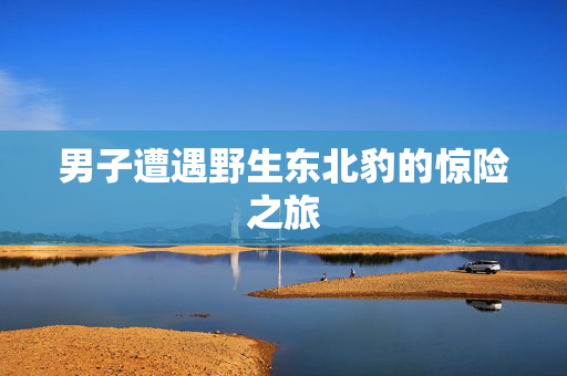 男子遭遇野生东北豹的惊险之旅