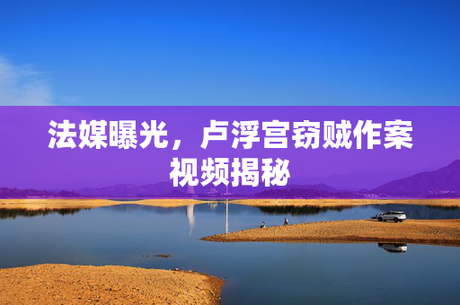 法媒曝光，卢浮宫窃贼作案视频揭秘