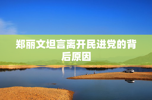 郑丽文坦言离开民进党的背后原因
