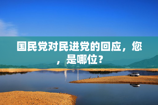 国民党对民进党的回应，您，是哪位？