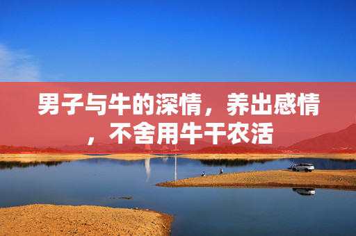 男子与牛的深情，养出感情，不舍用牛干农活