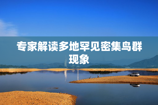 专家解读多地罕见密集鸟群现象