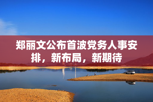 郑丽文公布首波党务人事安排，新布局，新期待