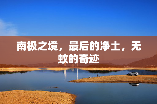 南极之境，最后的净土，无蚊的奇迹