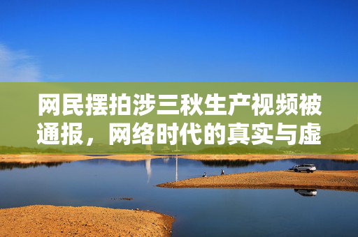 网民摆拍涉三秋生产视频被通报，网络时代的真实与虚假