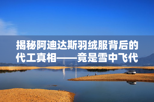 揭秘阿迪达斯羽绒服背后的代工真相——竟是雪中飞代工的