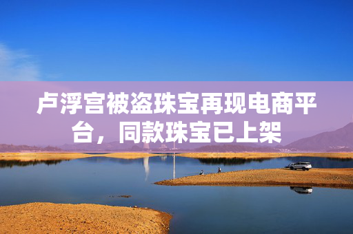 卢浮宫被盗珠宝再现电商平台，同款珠宝已上架