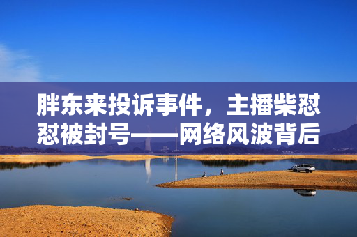 胖东来投诉事件，主播柴怼怼被封号——网络风波背后的反思