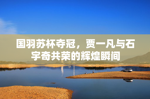 国羽苏杯夺冠，贾一凡与石宇奇共荣的辉煌瞬间