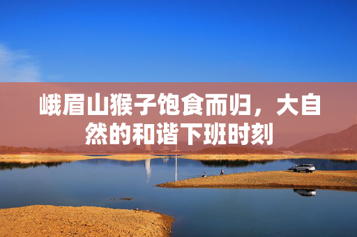 峨眉山猴子饱食而归，大自然的和谐下班时刻