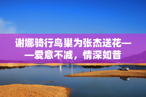谢娜骑行鸟巢为张杰送花——爱意不减，情深如昔