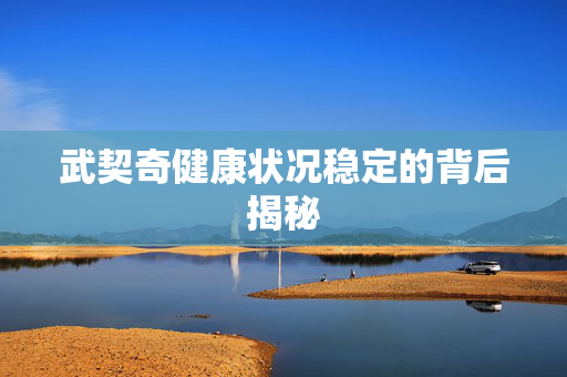 武契奇健康状况稳定的背后揭秘