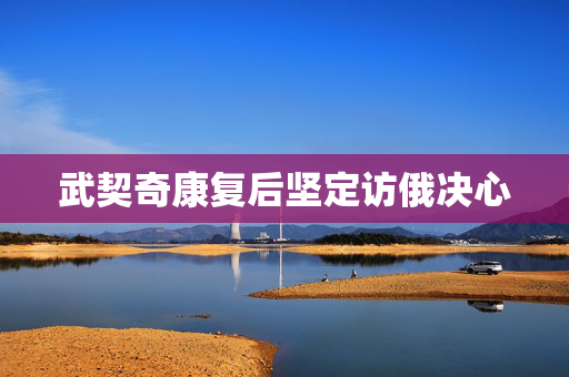 武契奇康复后坚定访俄决心