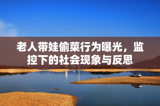 老人带娃偷菜行为曝光，监控下的社会现象与反思