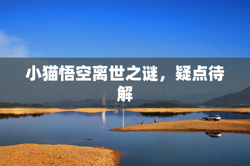 小猫悟空离世之谜，疑点待解