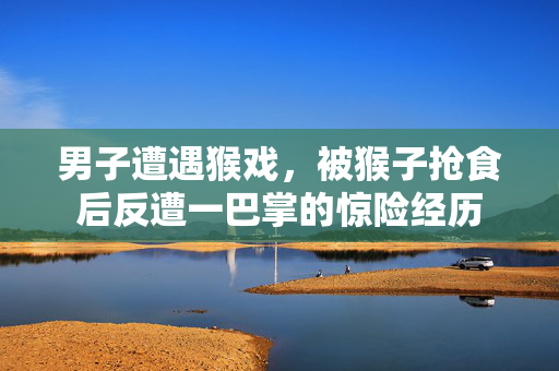 男子遭遇猴戏，被猴子抢食后反遭一巴掌的惊险经历