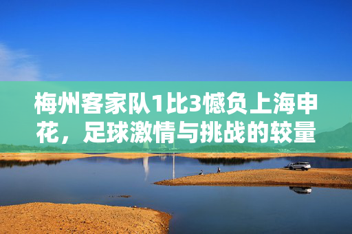 梅州客家队1比3憾负上海申花，足球激情与挑战的较量